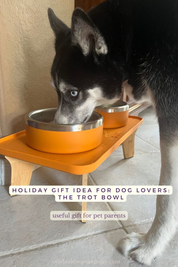 Full-length view of a husky standing and eating from the Trot bowl